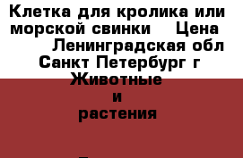 Клетка для кролика или морской свинки. › Цена ­ 500 - Ленинградская обл., Санкт-Петербург г. Животные и растения » Грызуны и Рептилии   